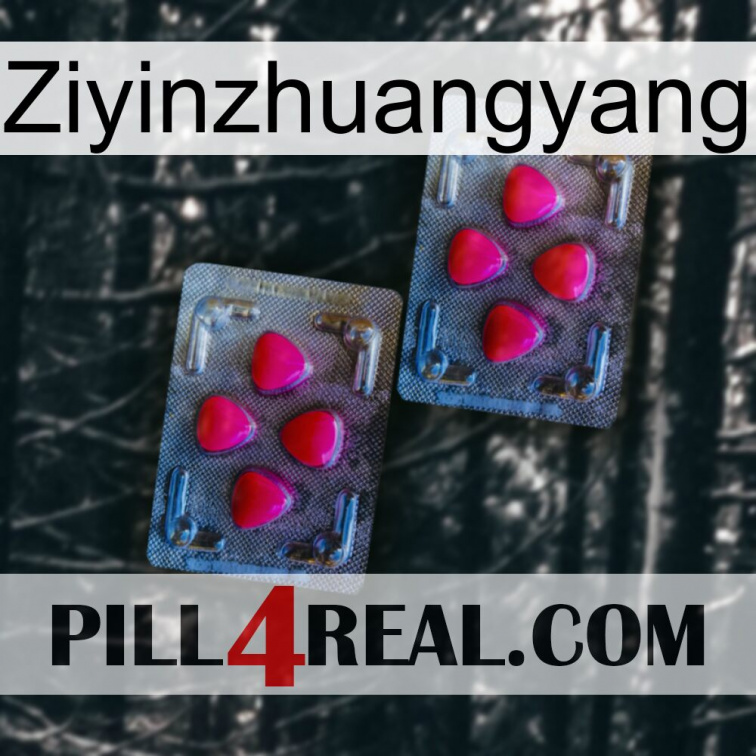 Ziyinzhuangyang 14